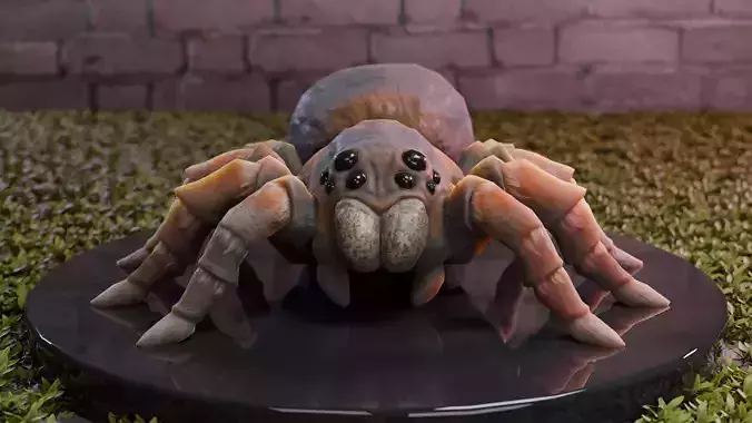Spider Tarantula