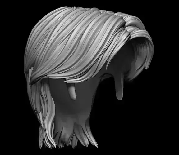 High Polygonal 3d sculpture of the hair 3D print model
