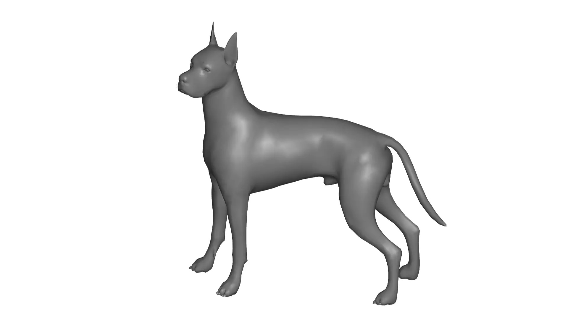 Great Dane dog 3D model_0