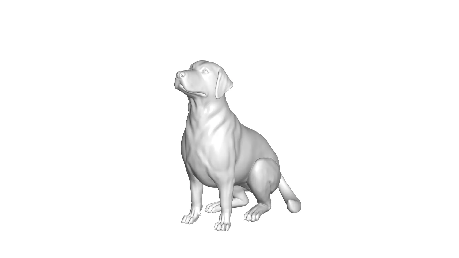 Labrador Retriever 3D model