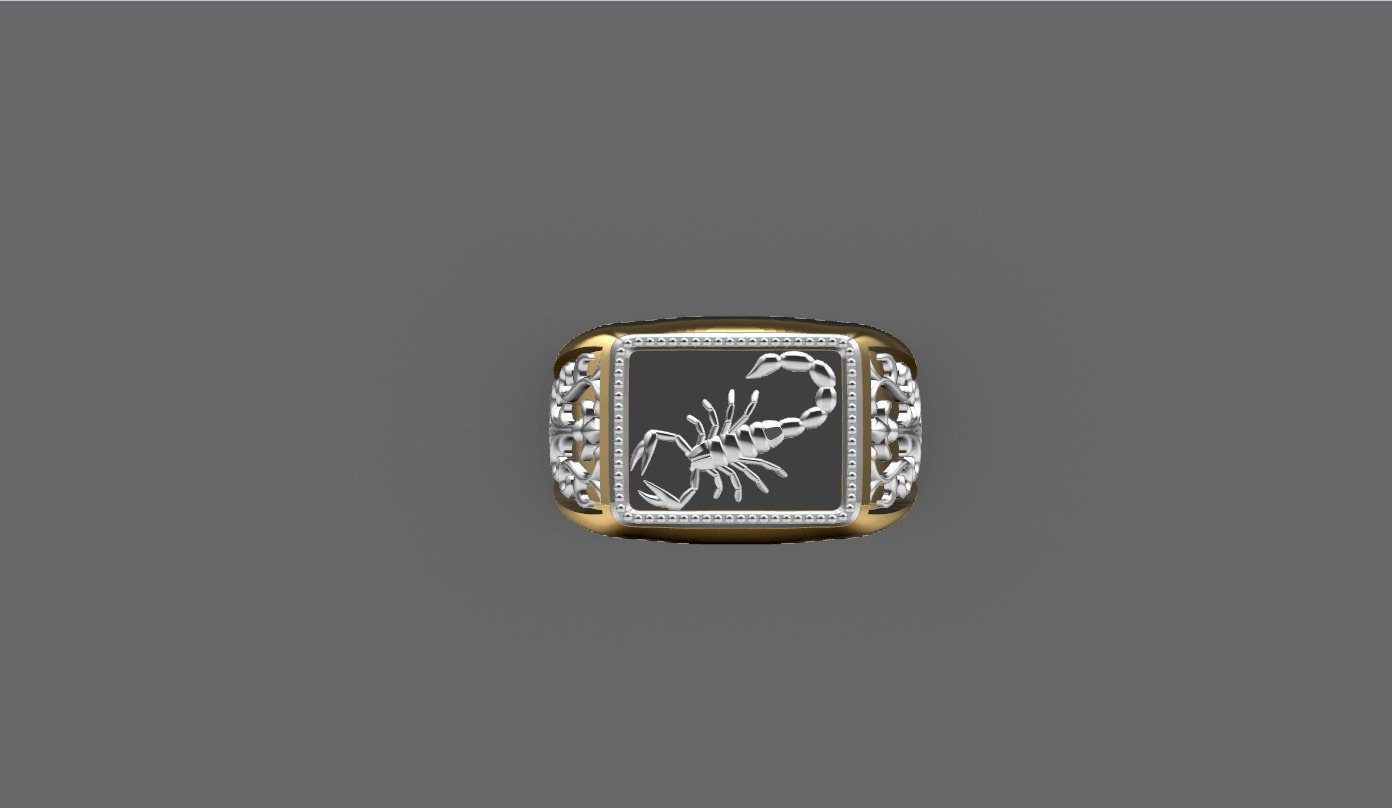 Man ring  3D print model_4