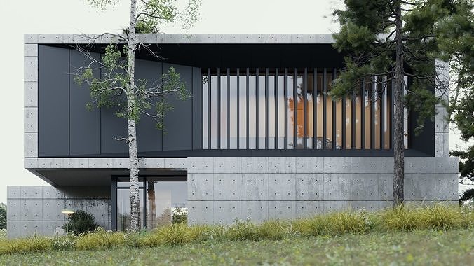 ProVis3D 043 - Villa Concrete 3D model 6