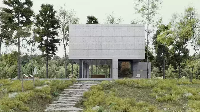 ProVis3D 043 - Villa Concrete