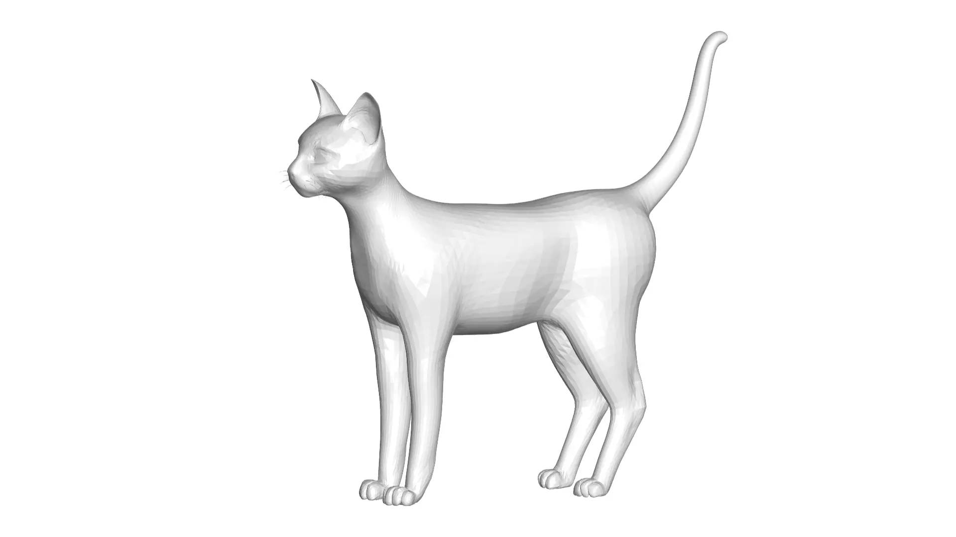 Cat  - 3D model_0