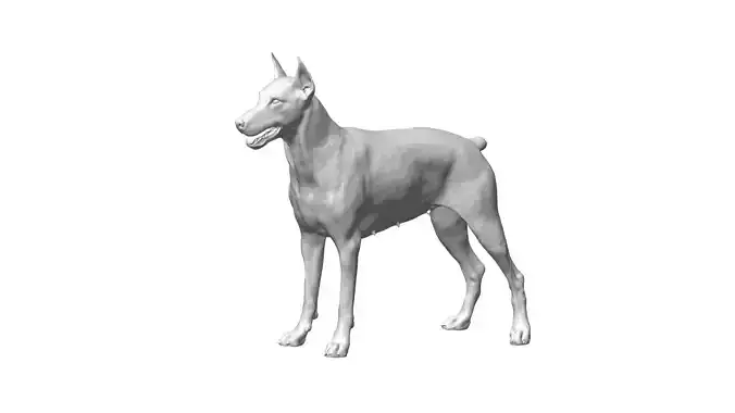DOBERMAN