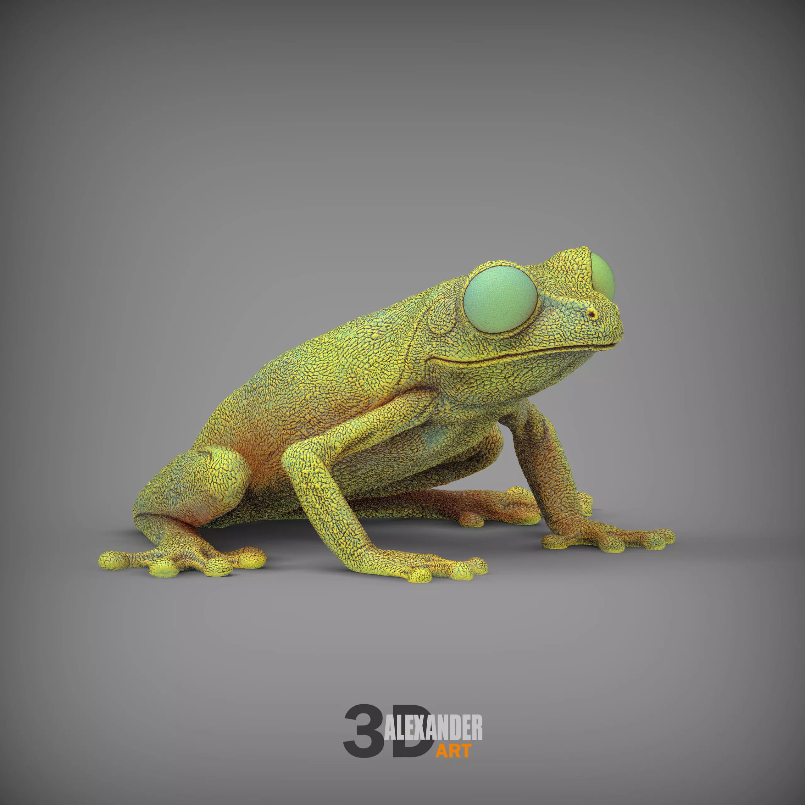 Red eye tree frog 3D print model