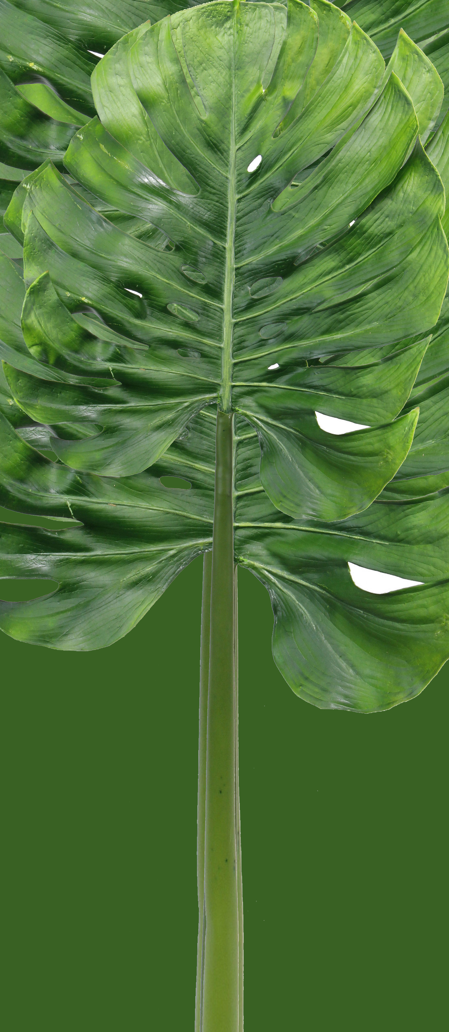 Study room  3D model_29