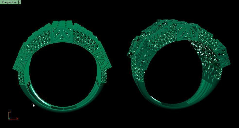 Multi strand fusion ring 3D print model_2