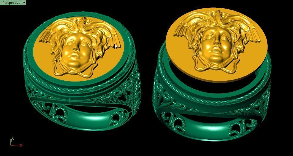 Medusa coin ring 3D print model_3