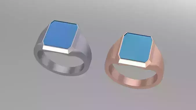 10th Onyx Signet 3D print model