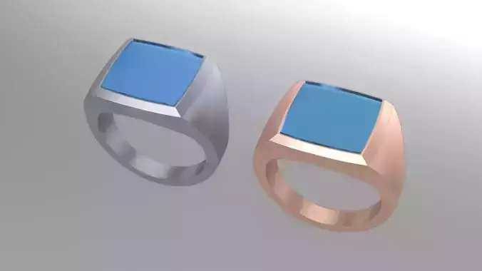 11th Onyx Signet 3D print model