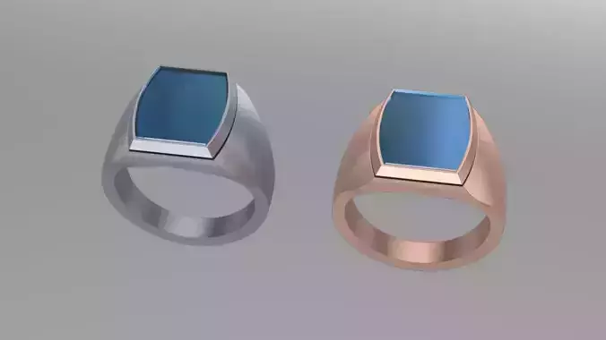 12th Onyx Signet 3D print model