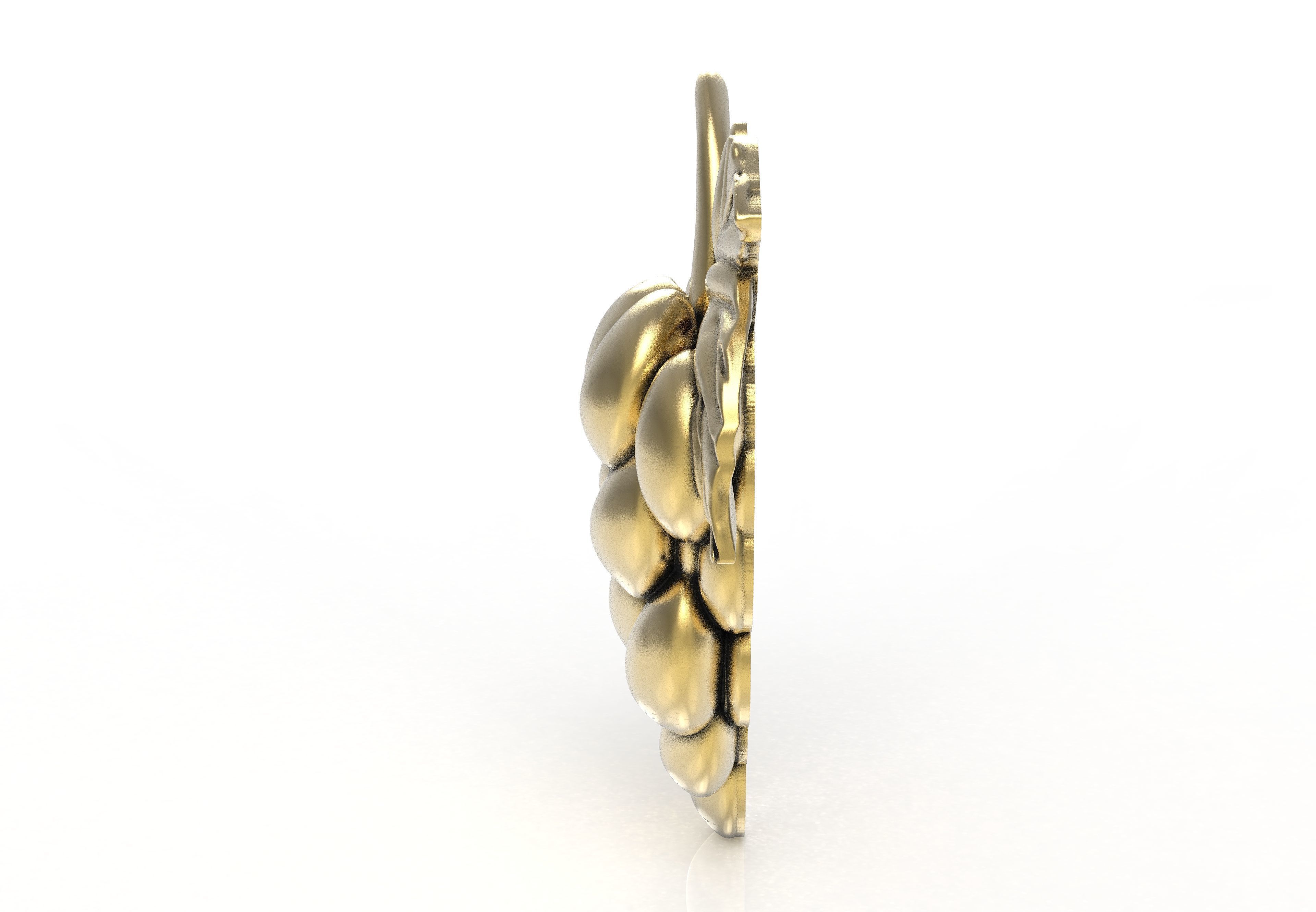 Grapes Half 3d Model 3D print model_4