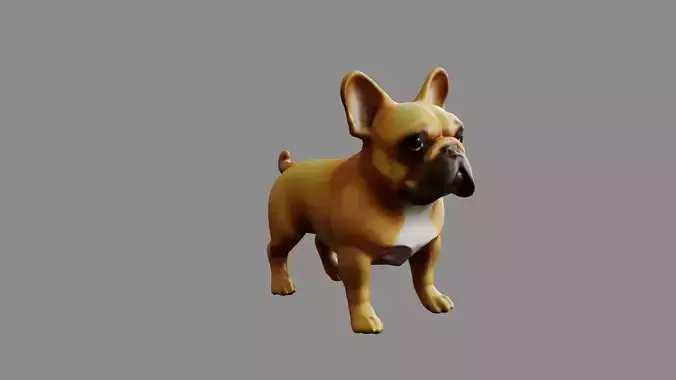 Cute Dog