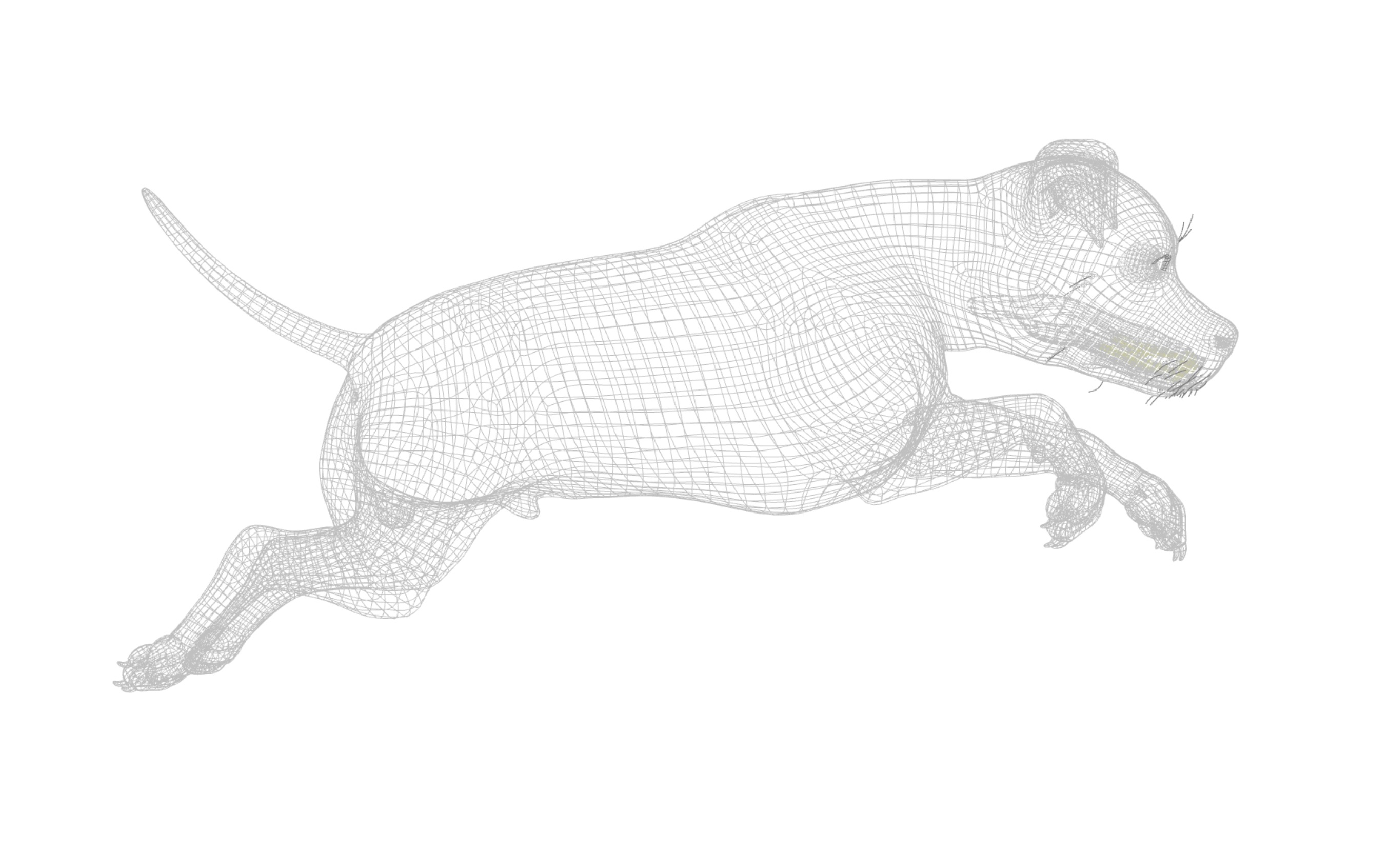American Pitbull Dog Rigged Animated Low-poly 3D model_25