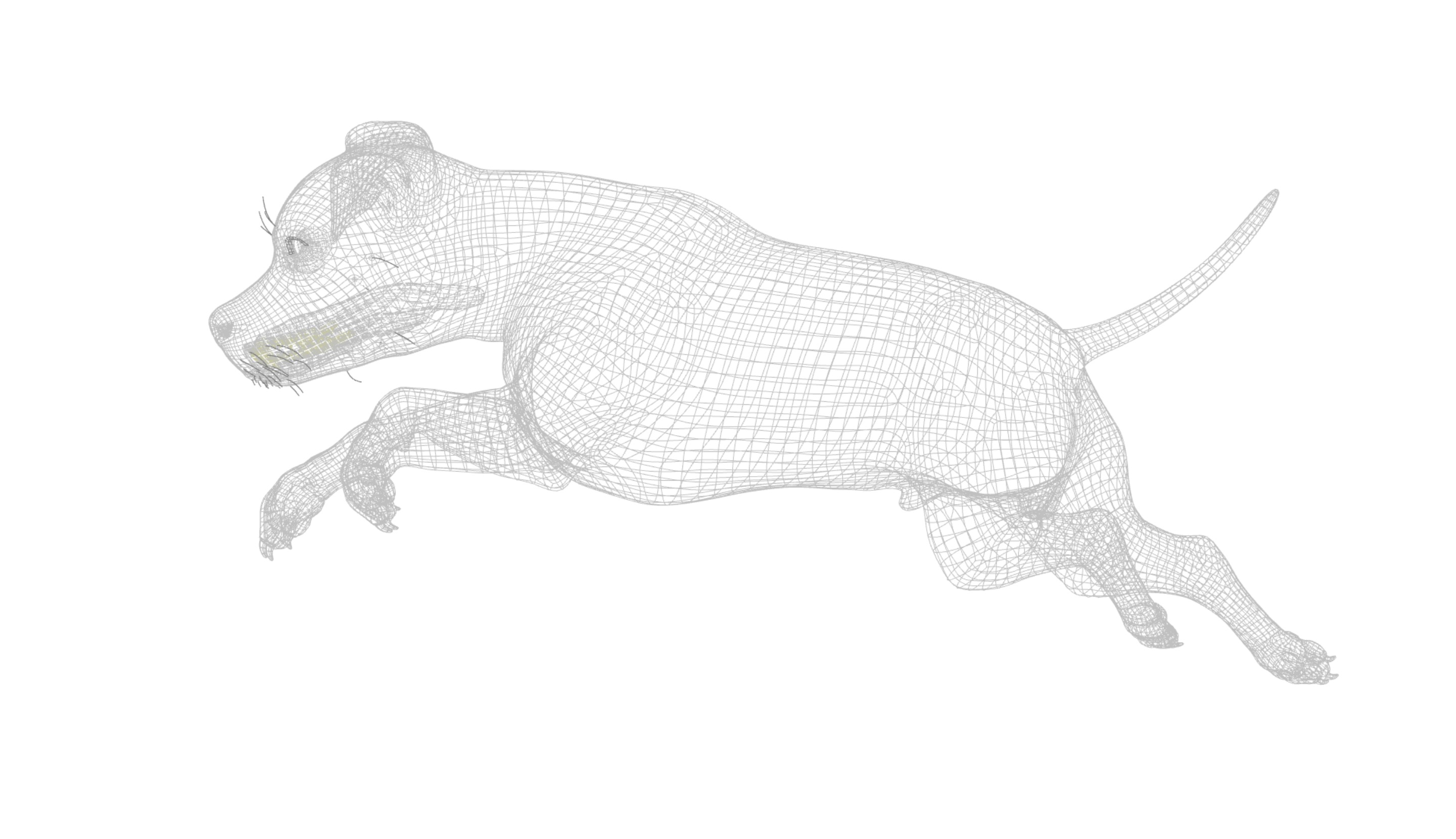 American Pitbull Dog Rigged Animated Low-poly 3D model_24