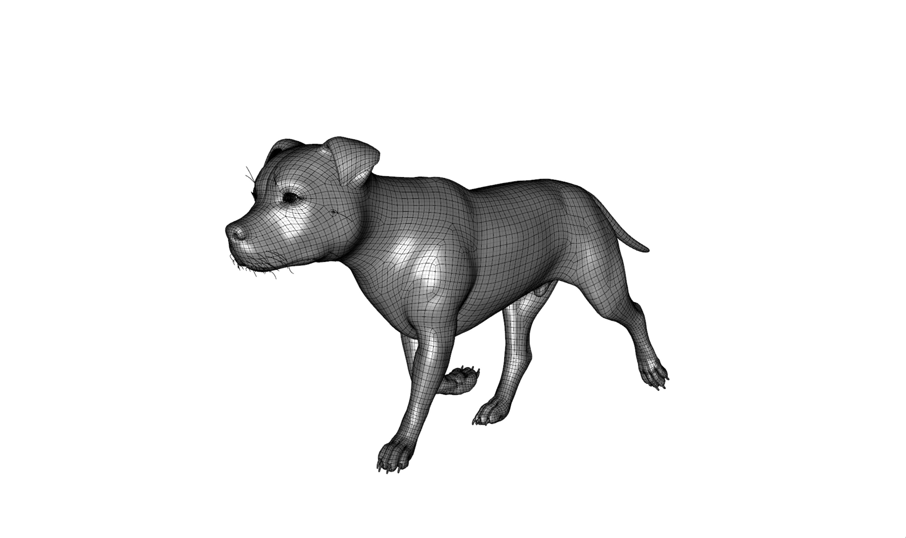 American Pitbull Dog Rigged Animated Low-poly 3D model_22