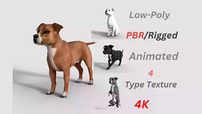  American Pitbull Dog Rigged Animated Low-poly 3D model