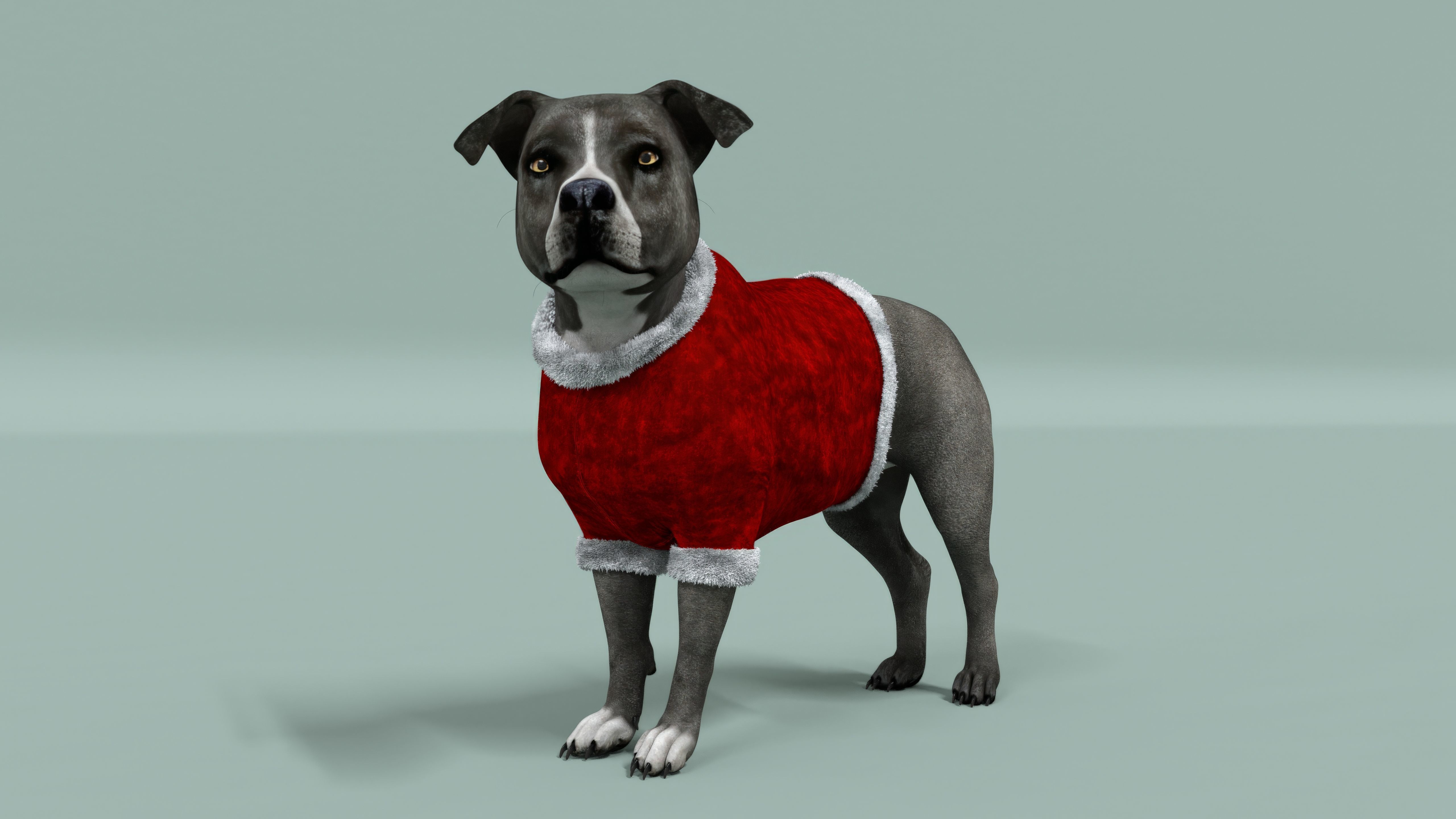 American Pitbull Dog Rigged Animated Low-poly 3D model_3