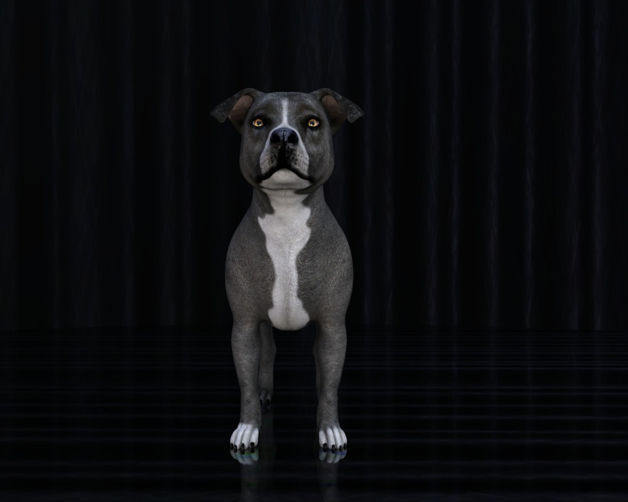 American Pitbull Dog Rigged Animated Low-poly 3D model_28