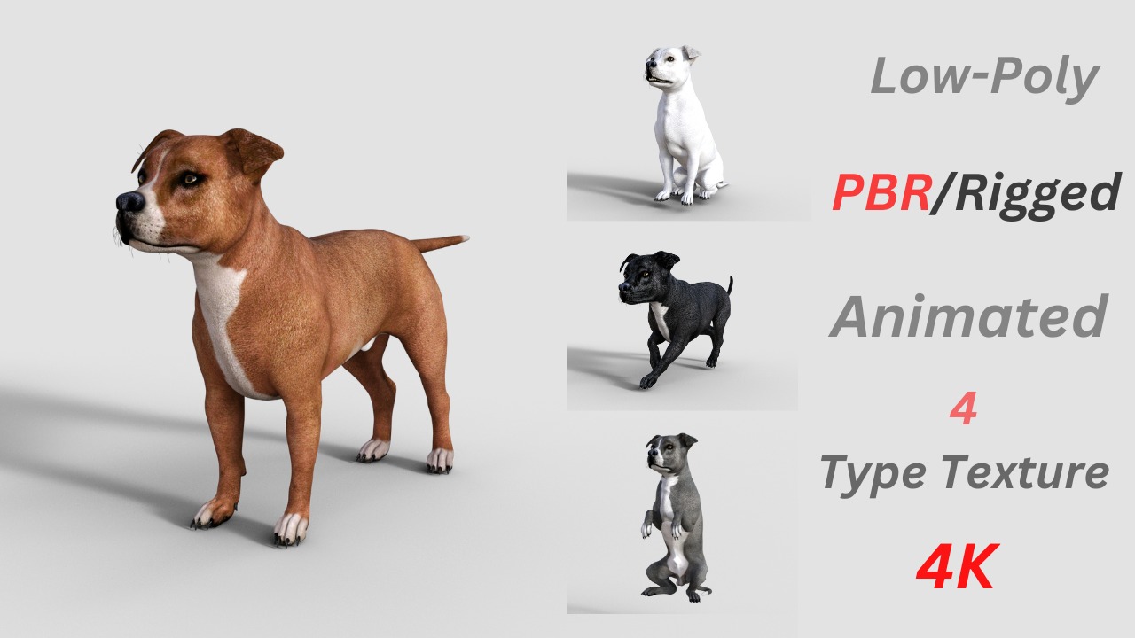 American Pitbull Dog Rigged Animated Low-poly 3D model_37