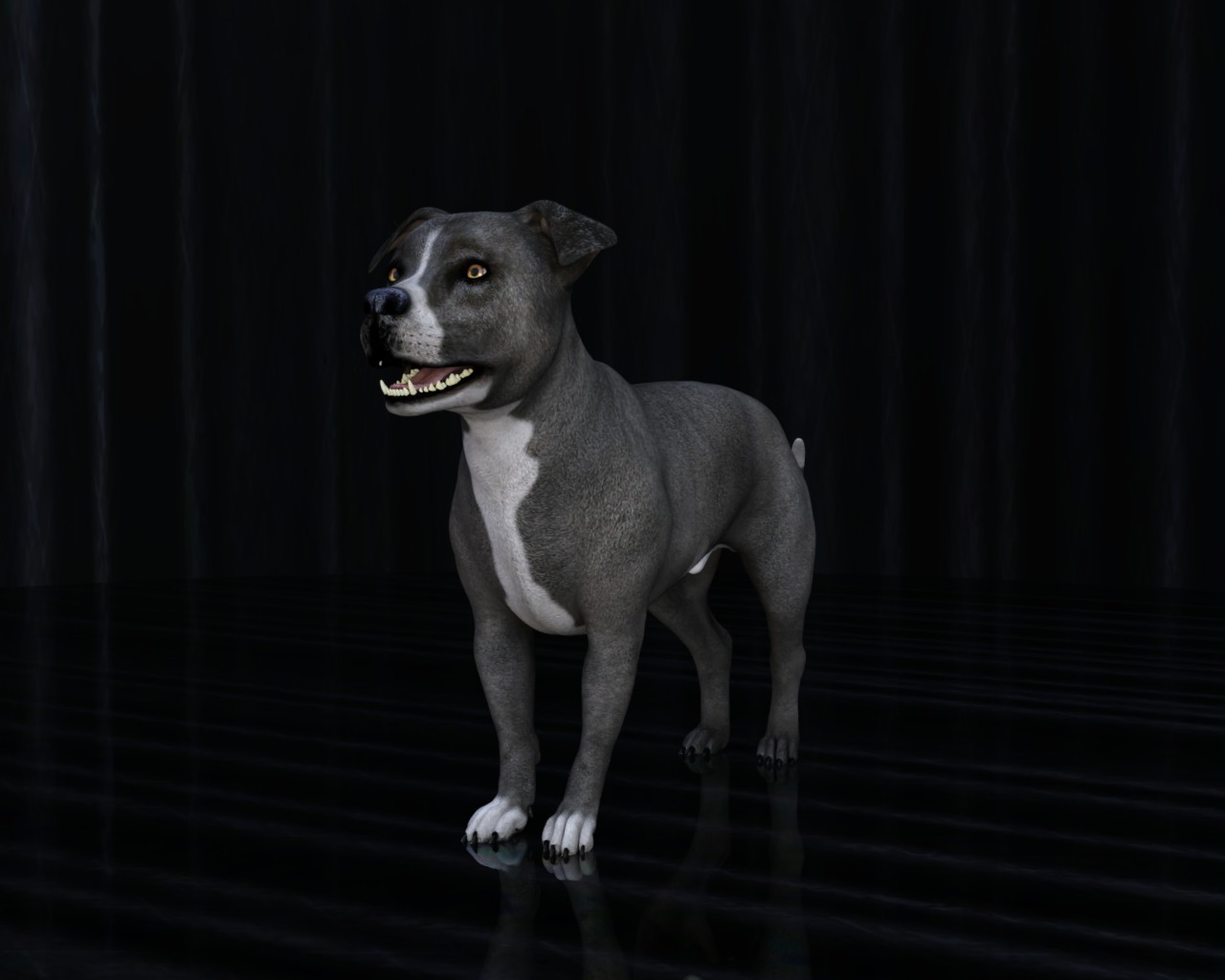 American Pitbull Dog Rigged Animated Low-poly 3D model_31