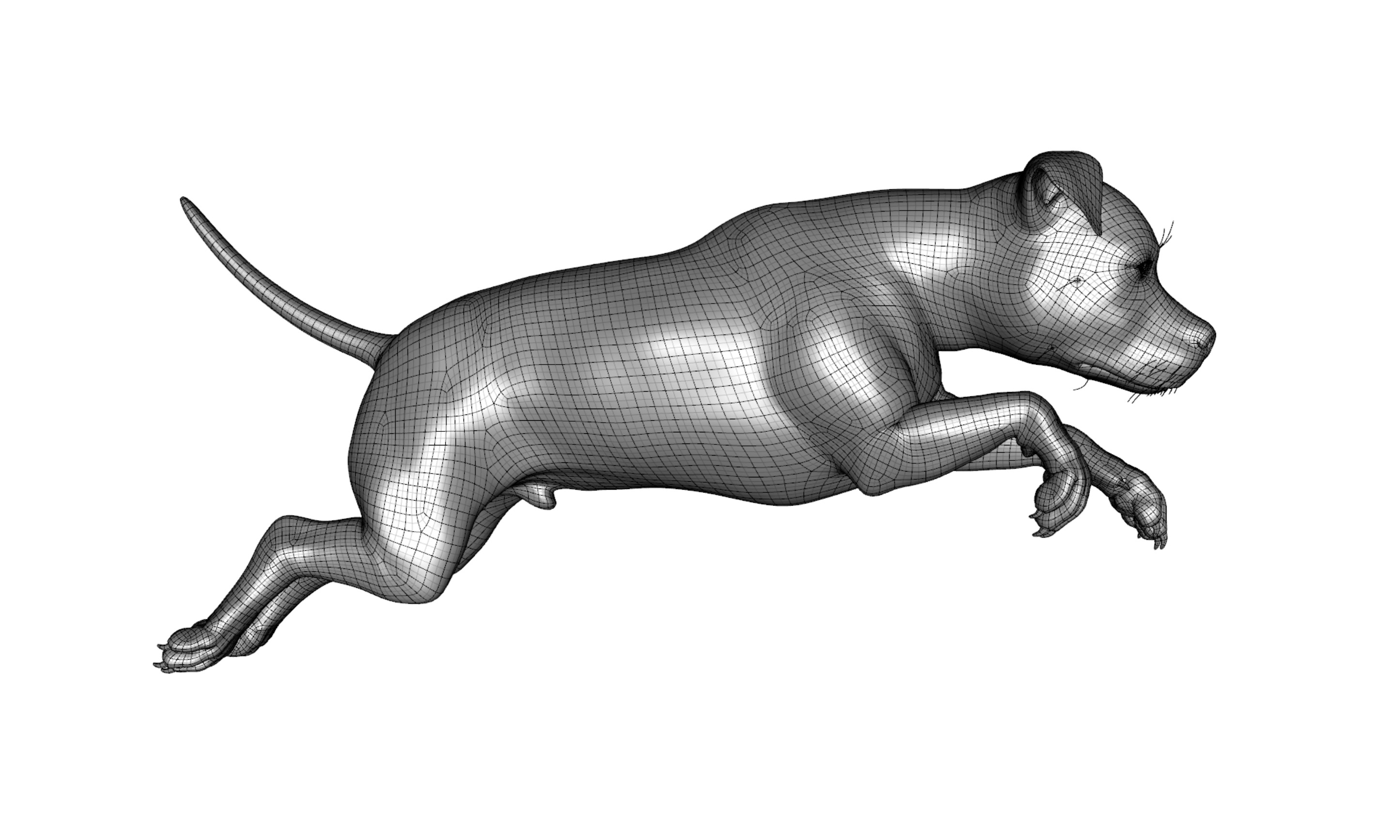 American Pitbull Dog Rigged Animated Low-poly 3D model_23