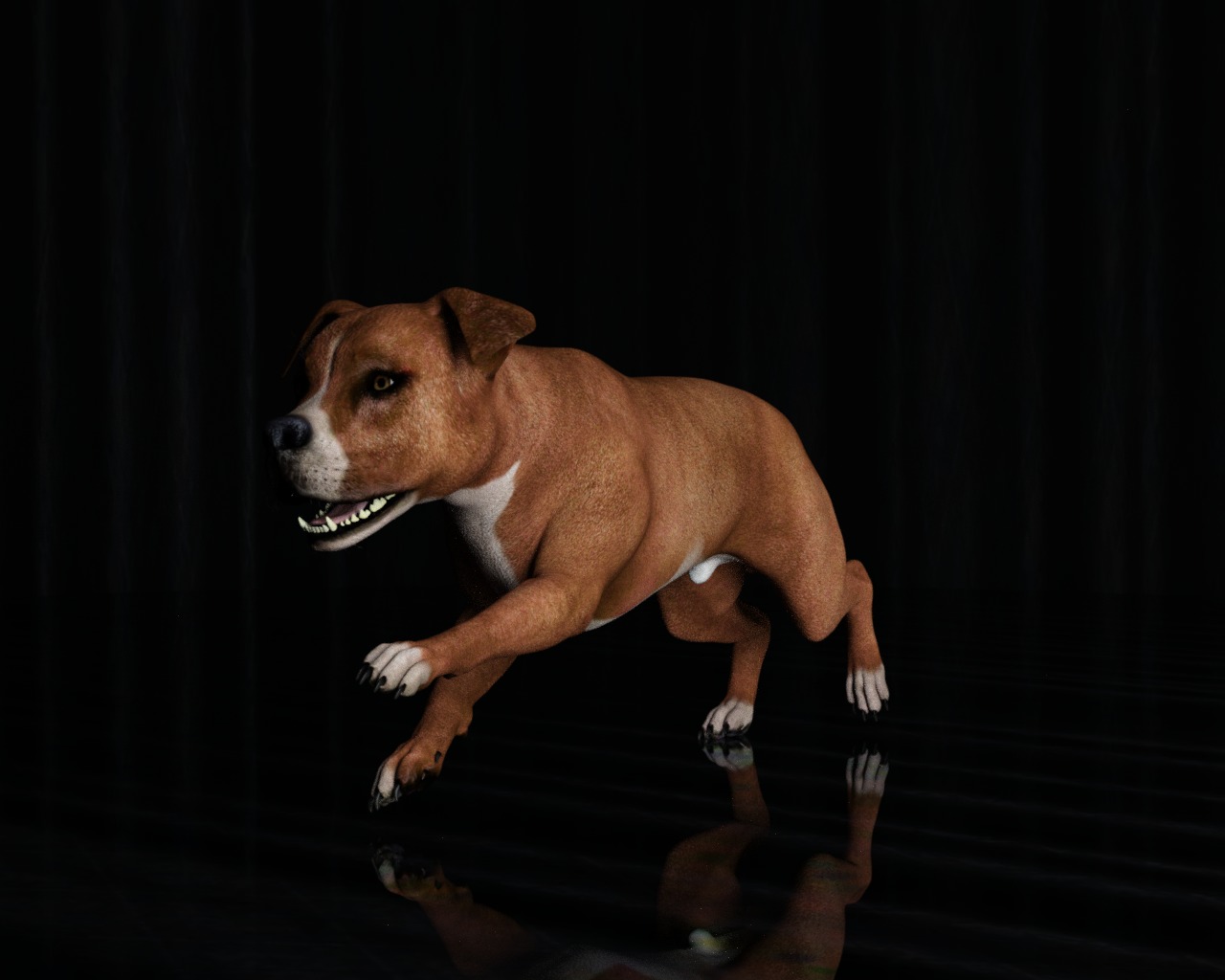 American Pitbull Dog Rigged Animated Low-poly 3D model_11
