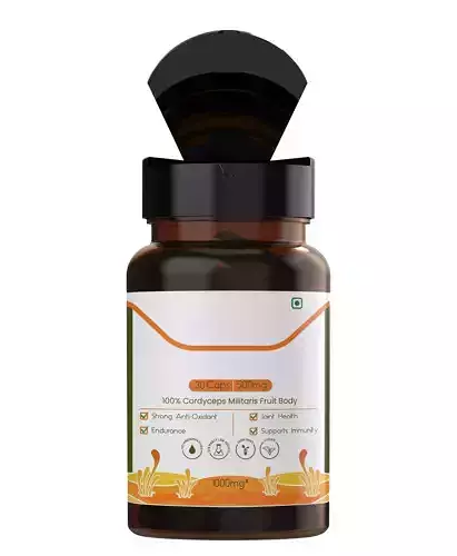 Stylish Capsule Bottle 3D Model