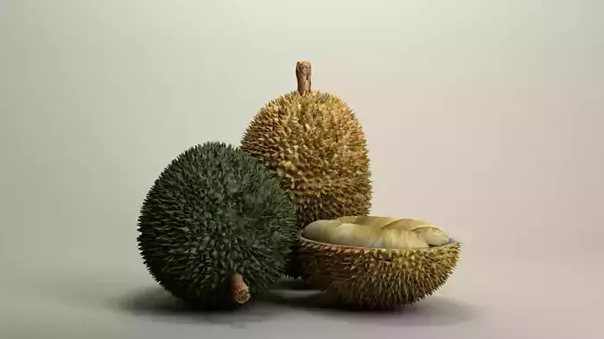 fruit Durian Exotic 3D model
