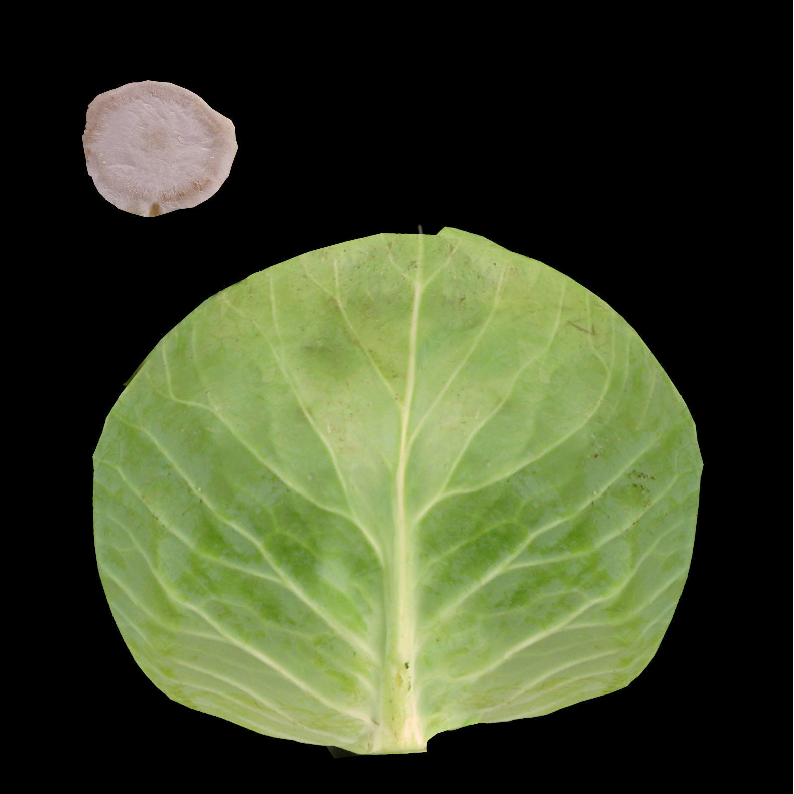 Minimalistic kitchen design 3D model_59