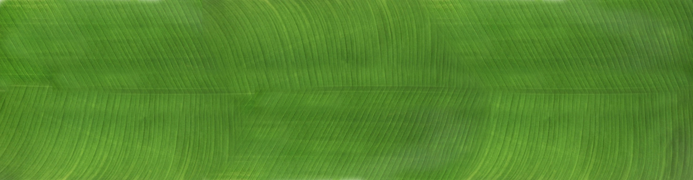 Minimalistic kitchen design 3D model_28