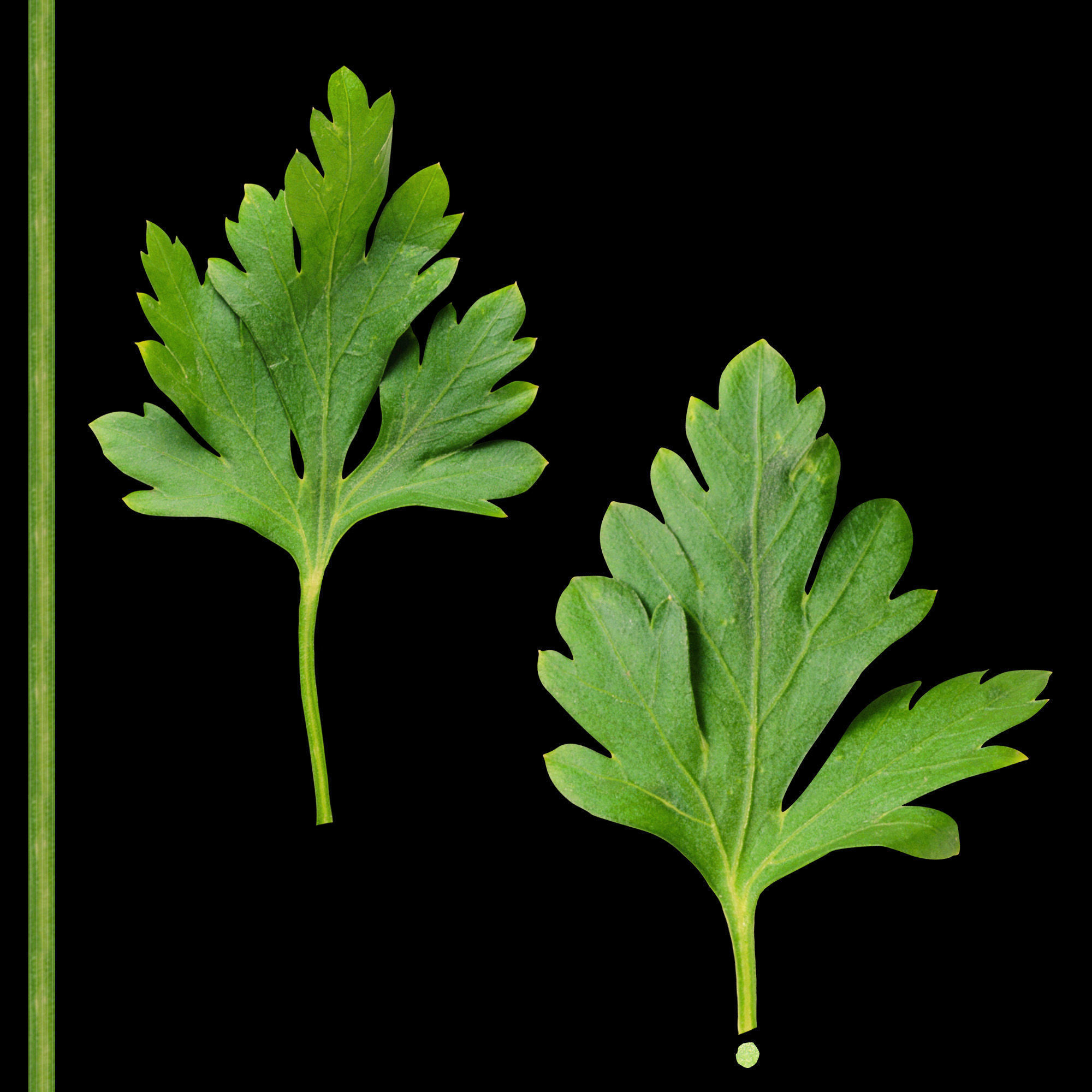 Minimalistic kitchen design 3D model_69