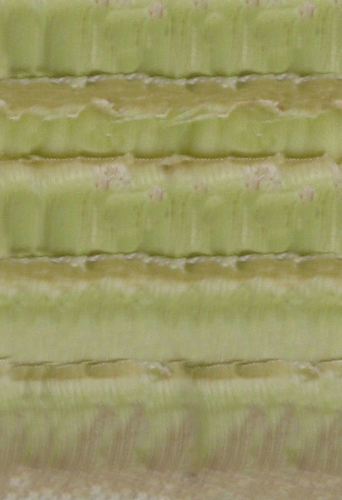 Minimalistic kitchen design 3D model_75