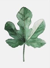 Minimalistic kitchen design 3D model_8