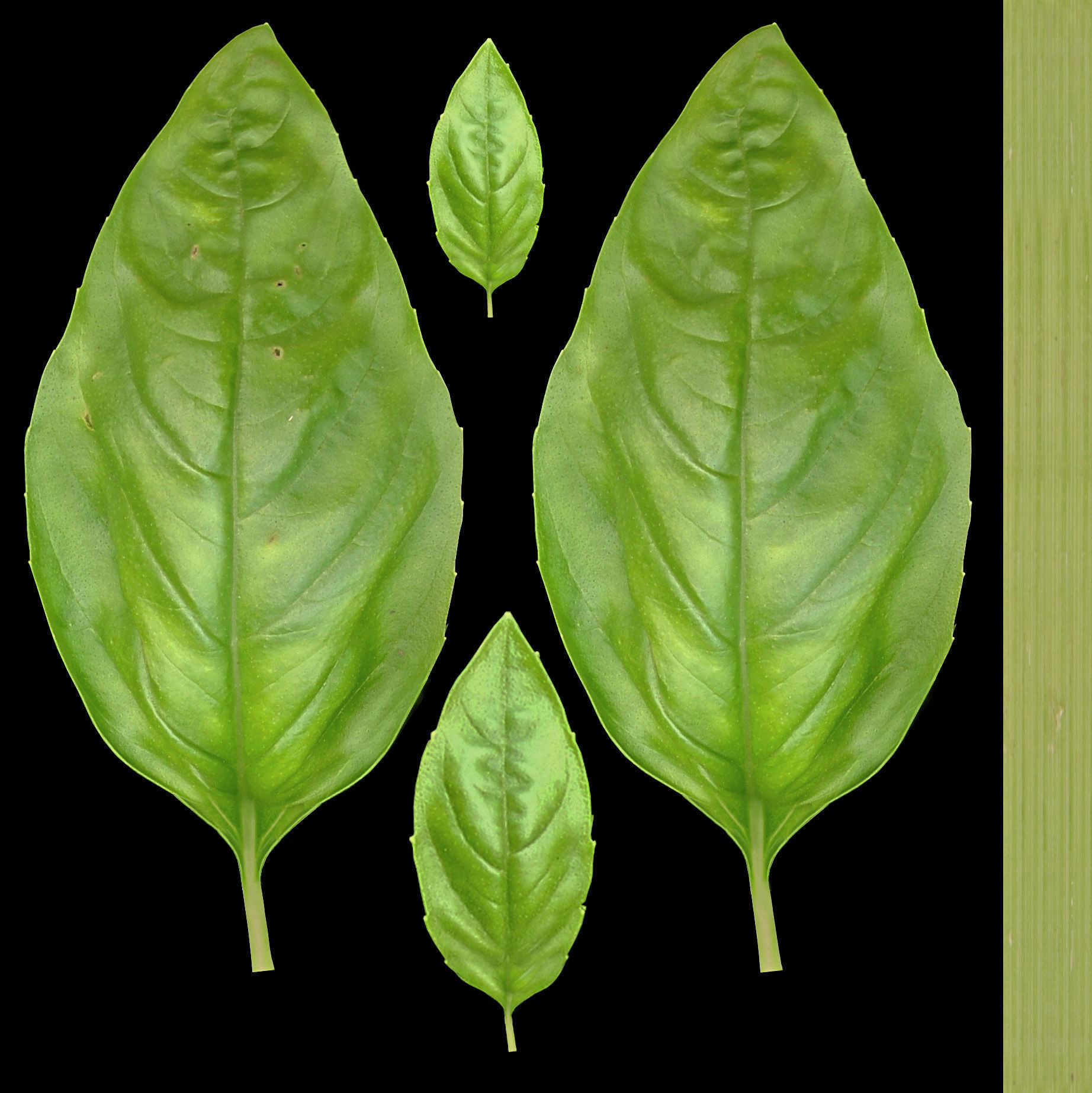 Minimalistic kitchen design 3D model_72