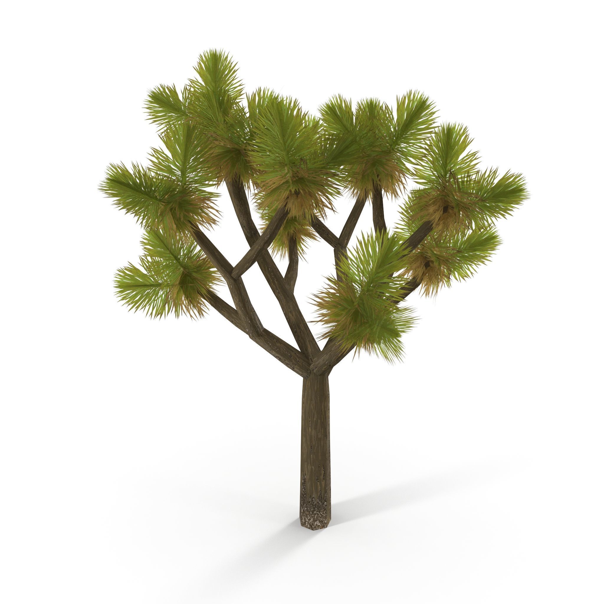 Joshua Tree Low Poly Low-poly 3D model_7