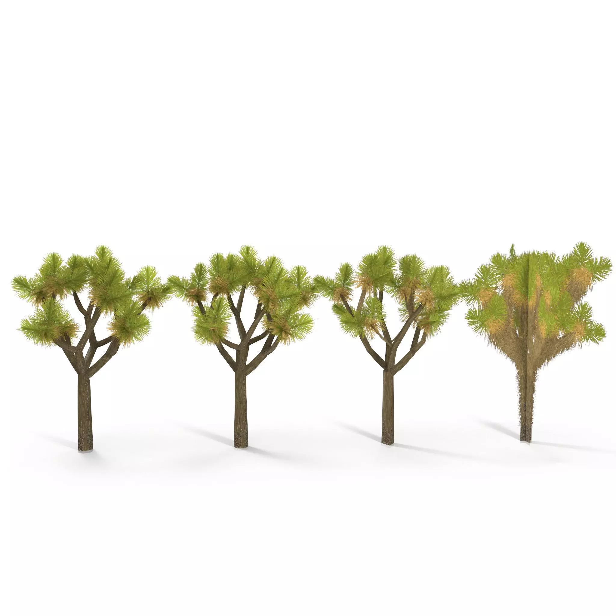 Joshua Tree Low Poly Low-poly 3D model_0