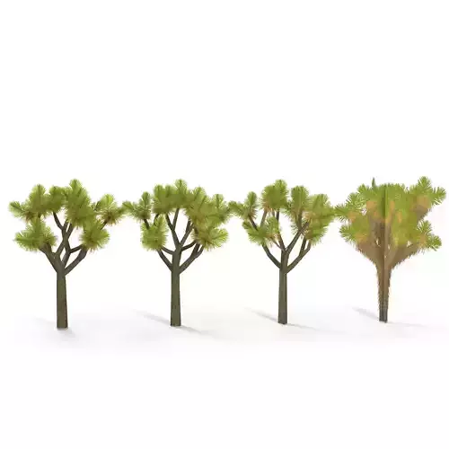 Joshua Tree Low Poly Low-poly 3D model