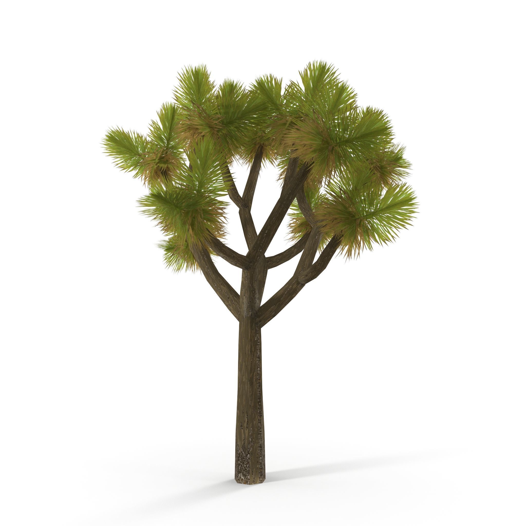 Joshua Tree Low Poly Low-poly 3D model_9