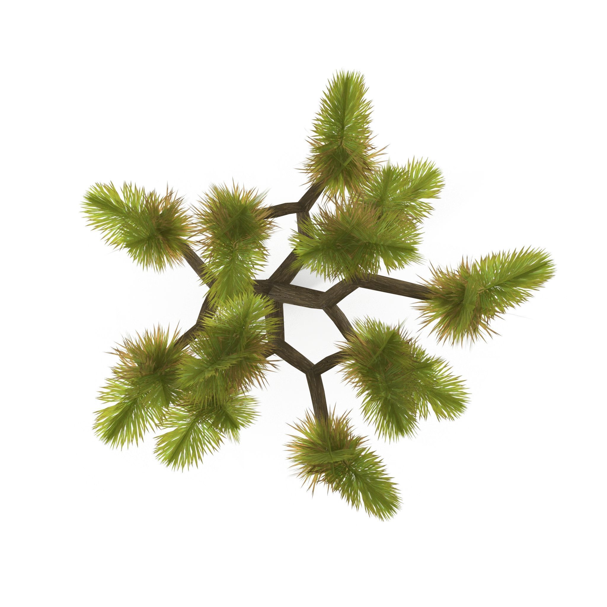 Joshua Tree Low Poly Low-poly 3D model_1