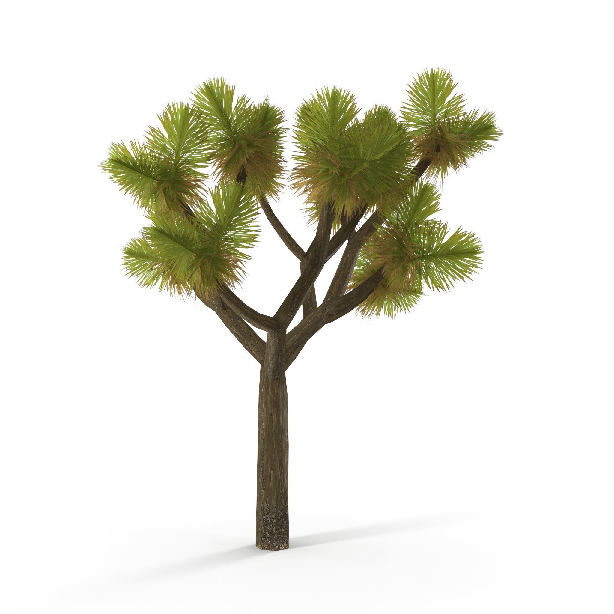 Joshua Tree Low Poly Low-poly 3D model_8
