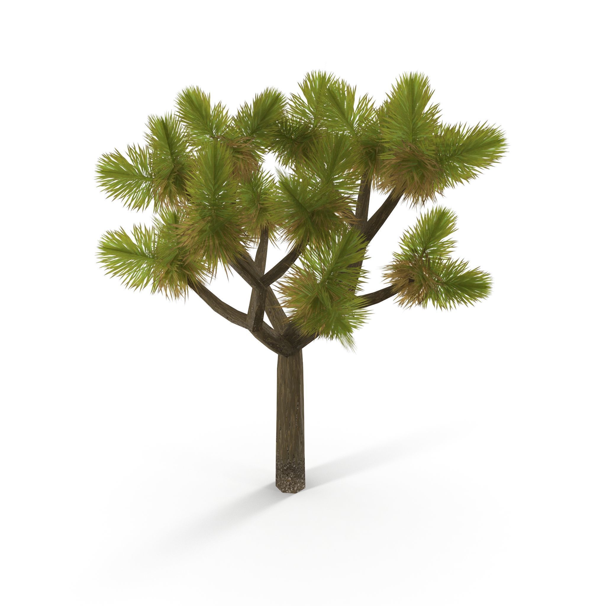 Joshua Tree Low Poly Low-poly 3D model_2