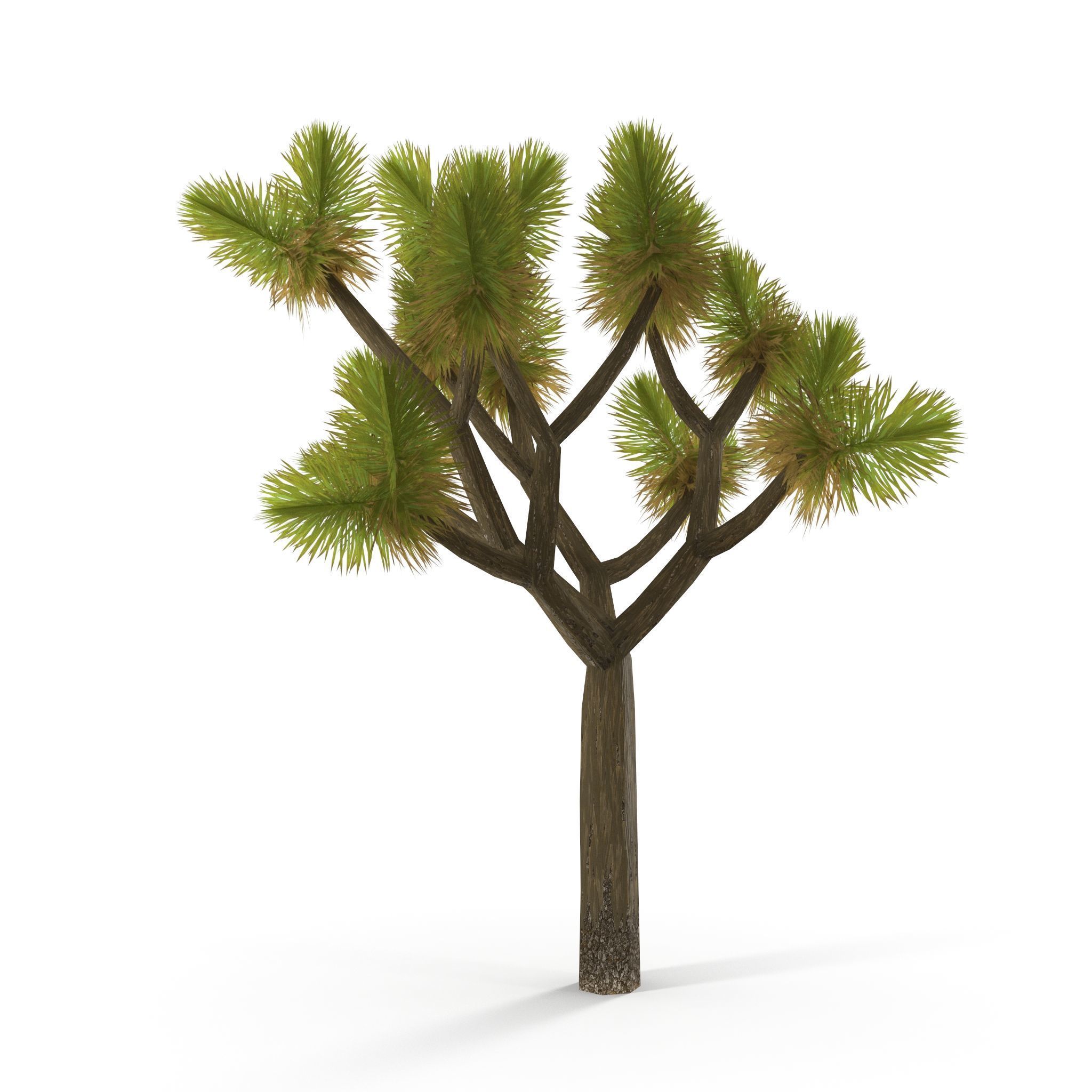 Joshua Tree Low Poly Low-poly 3D model_11