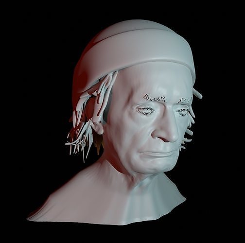 Plague for 3d Printing  3D print model