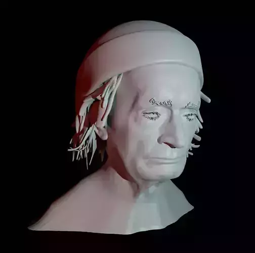 Plague for 3d Printing 