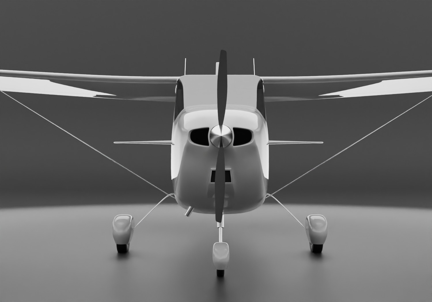 Cessna 172 Skyhawk  3D model_2