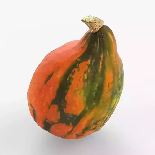 Photorealistic 3D scan of pumpkin