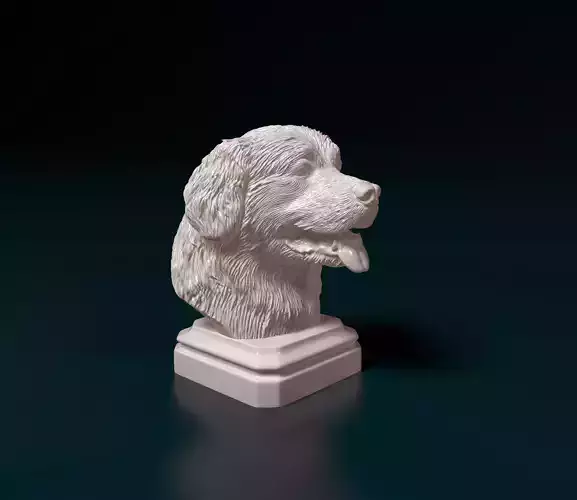 Bovaro del Bernese bust