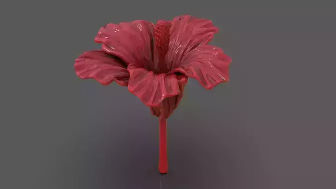 Hibiscus Flower Sculpt 3D print model
